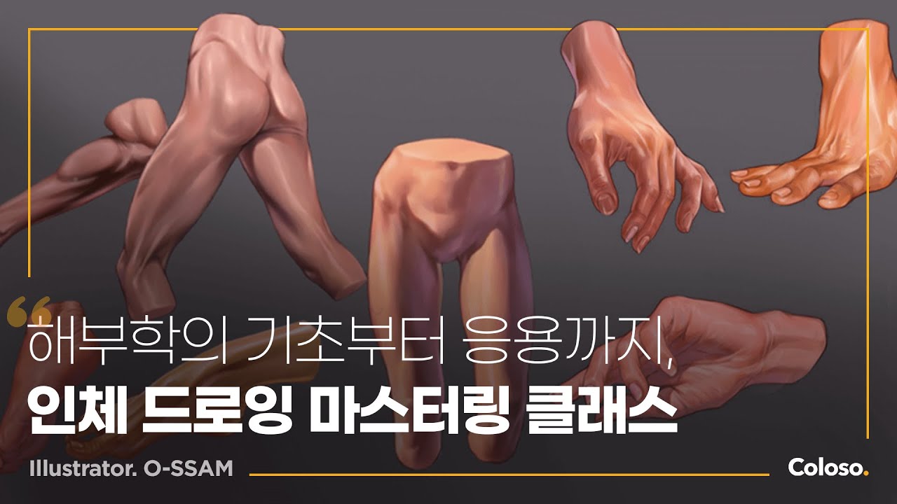 오쌤의 자연스러운 인체 표현을 위한 해부학사전.jpg