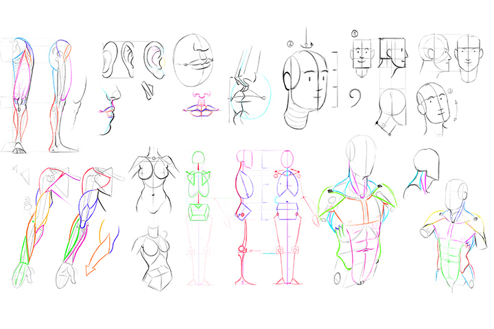 A Beginner's Guide to Essential Stylized Anatomy [Coloso, Gregor Kari]-03.jpg