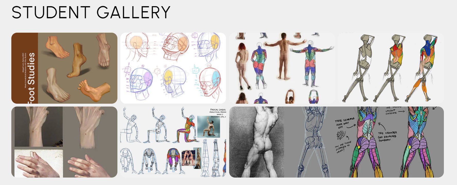 Analytical Figure Drawing A, B, C [CGMA, Christian Nacorda, Ron Lemen, Rey Bustos - 2020, Grou...jpg