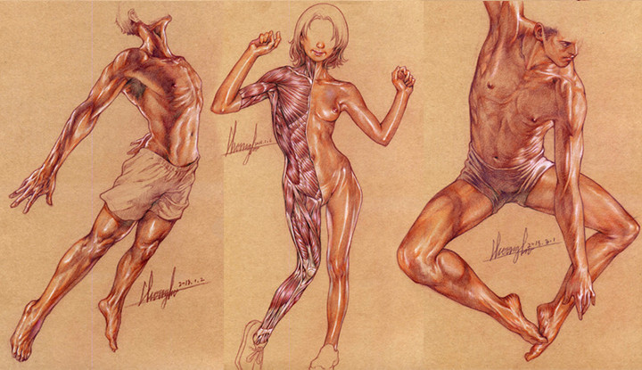 Anatomy Dictionary for Osam's Natural Representation of the Human Body-1.jpg