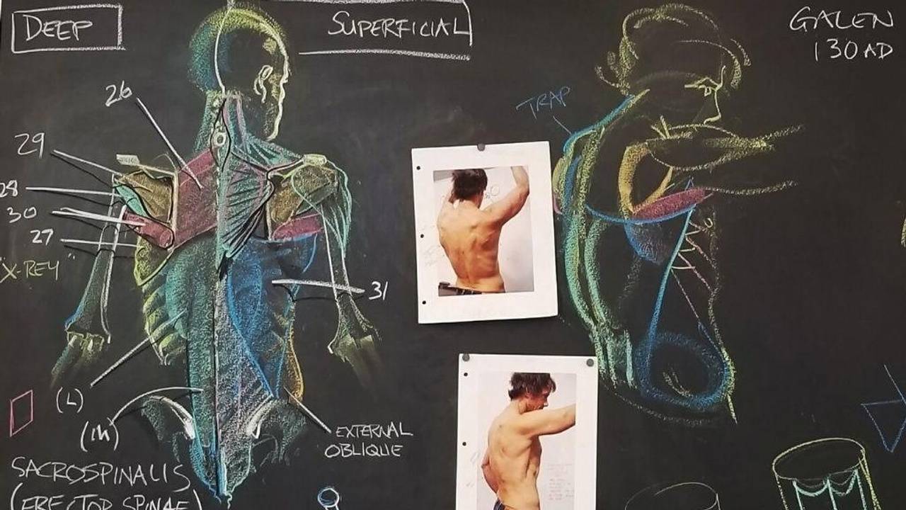 Artistic Anatomy [Vertex School, Rey Bustos].jpg