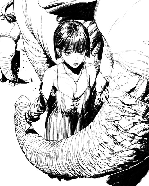 Complete Black-and-White Illustration with Lines and Faces - 선과 면으로 깊게 표현하는 흑백 일러스트 완성 [Coloso...jpg