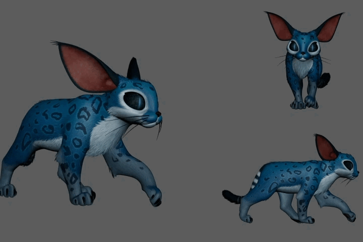 finnaldetail-characteranimator-alexiswanneroy2-us-03 (1).gif