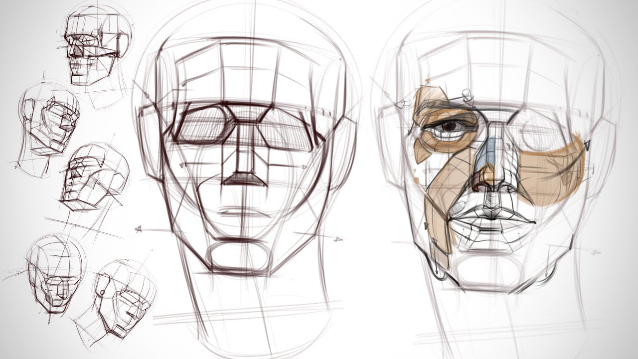 Head Drawing and Construction-.jpg