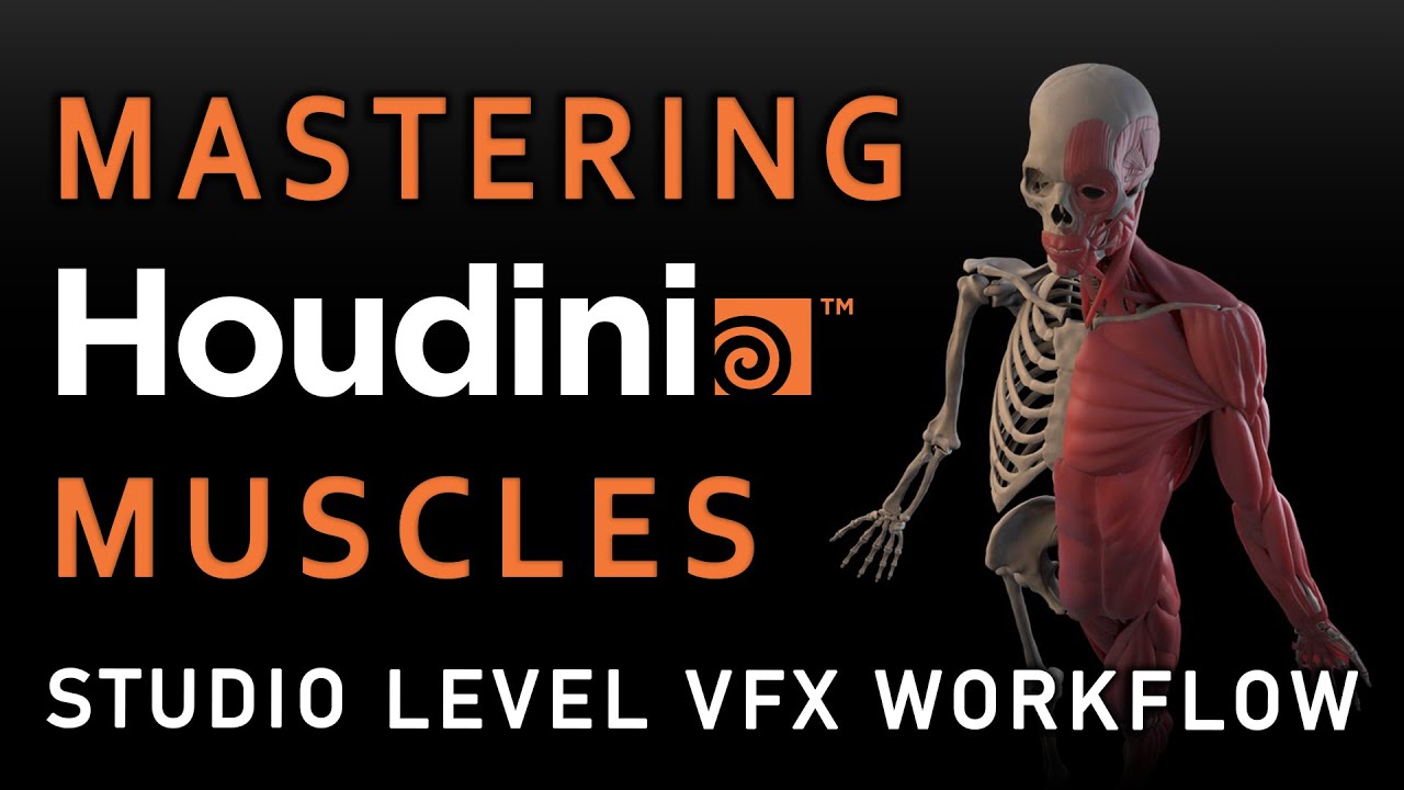 Mastering Houdini Muscles A Studio Level VFX Workflow-00.jpg