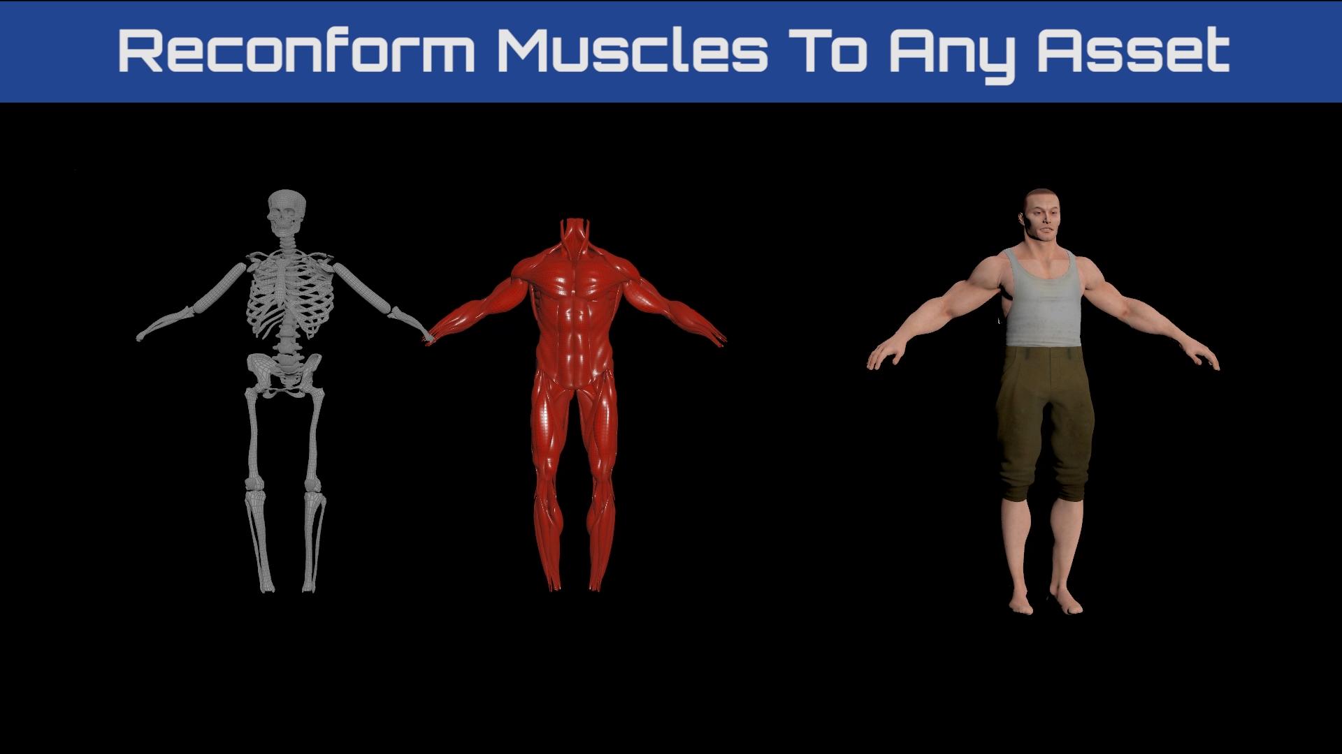 Mastering Houdini Muscles A Studio Level VFX Workflow-01.jpg