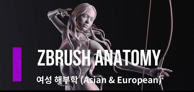 Zbrush 상급 Anatomy (여성).jpg