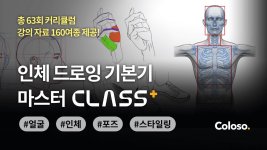 Mastering the Basics of Human Body Drawing CLASS+.jpg