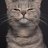 cameocat